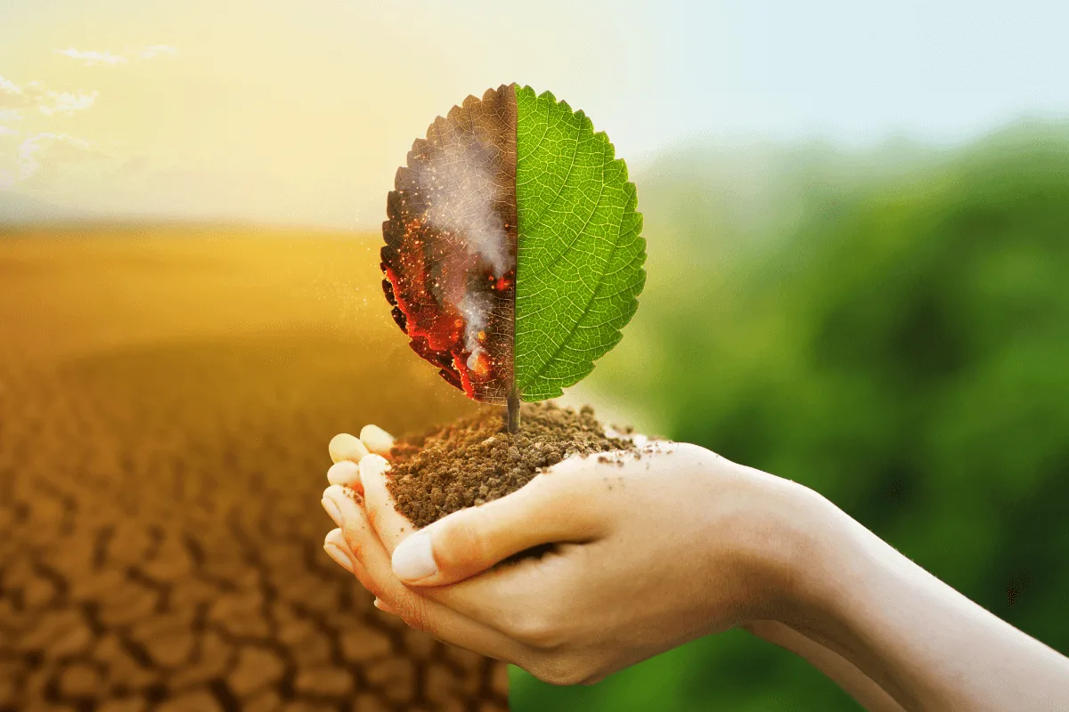 Workshop internacional aborda mudanças climáticas e busca soluções sustentáveis para Brasil e Taiwan