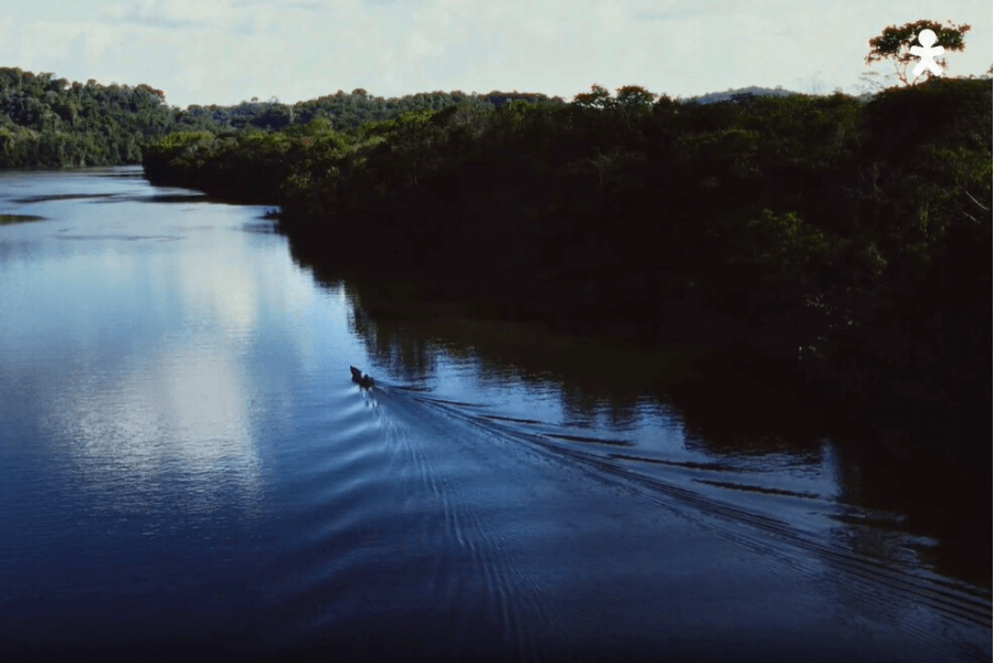 Vivo celebra o Dia da Amazônia com campanha que destaca a conexão entre a natureza e a sociedade