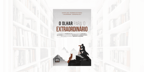 Livro O Olhar para o Extraordinário - identidades de sucesso