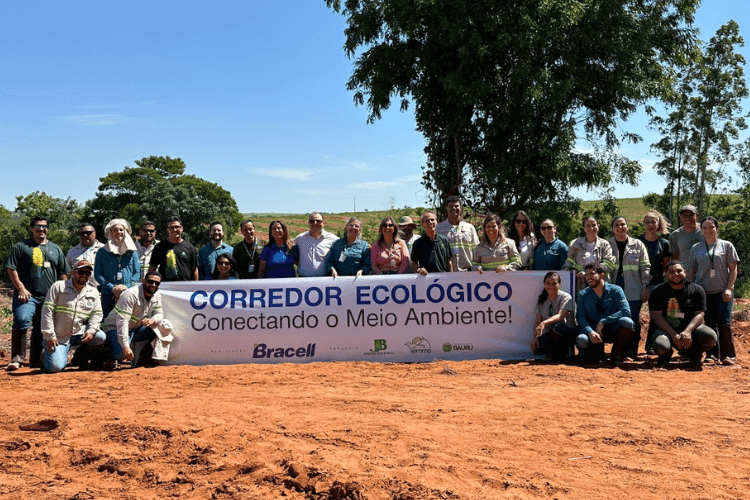 Bracell planta 8 mil árvores nativas e fortalece biodiversidade com corredor ecológico