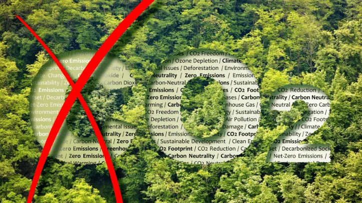 carbono zero outsourcing