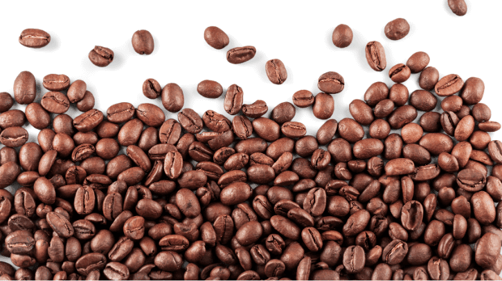 embalagem reciclavel cafe catarina coffee