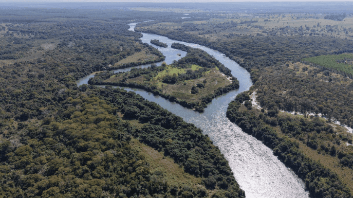 Arauco capta US$ 2,2 bi para erguer fábrica de celulose sustentável