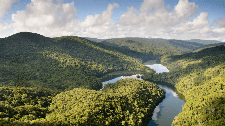 IFF e Reservas Votorantim anunciam parceria inédita de bioprospecção na Mata Atlântica