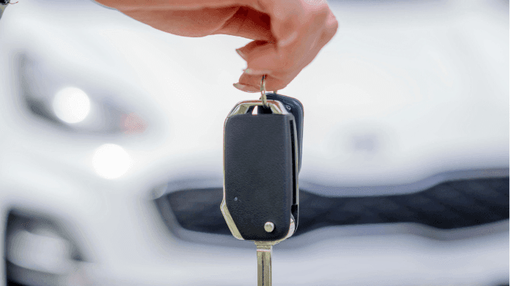 carro sustentavel governo