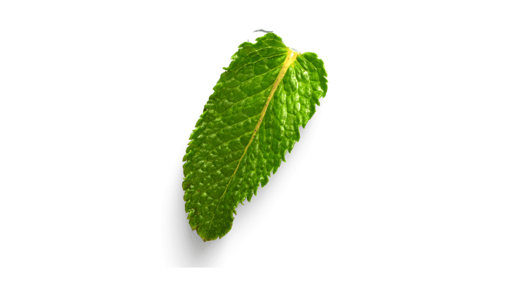 sebrae minas esg para pequenos negocios