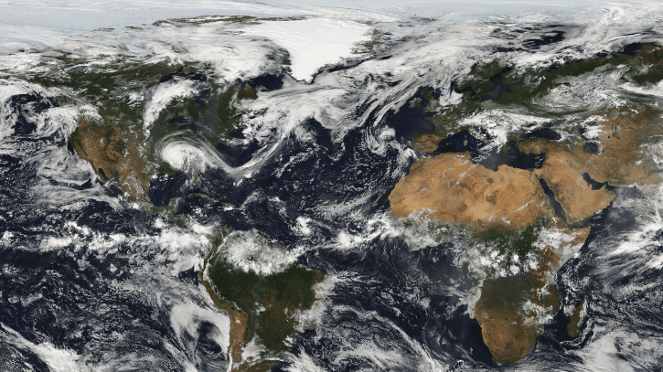 CARBONO IDENTIDADES DE SUCESSO