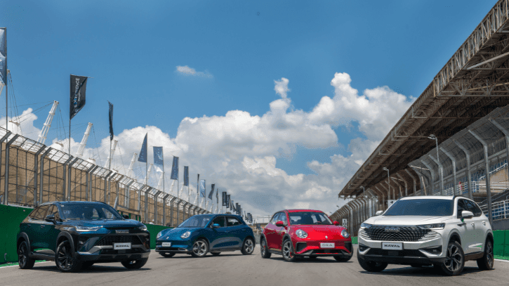 gwm-1 IDENTIDADES DE SUCESSO