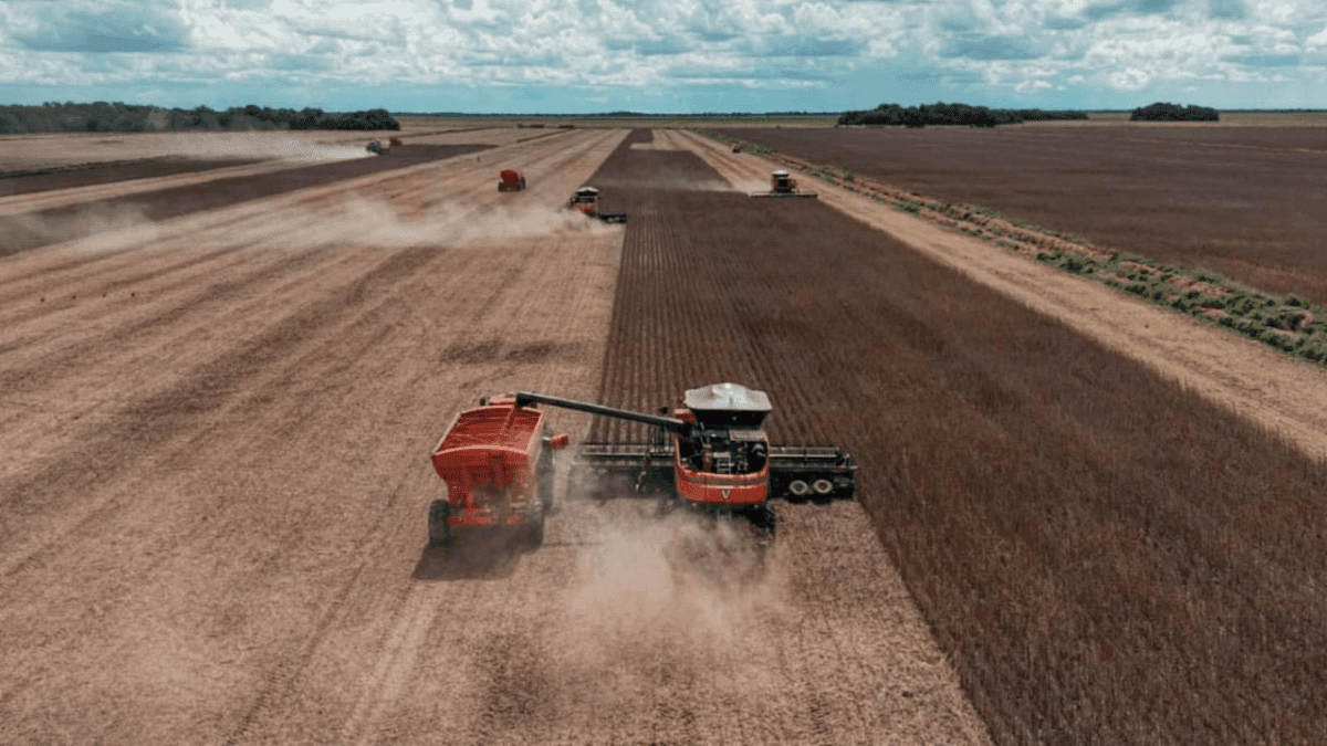 Projeto-de-agricultura-regenerativa-desenvolvido-pela-NaturAll-Carbon-e-Fazenda-Nova-Piratininga-em-area-de-123-mil-hectares-entre-Goias-e-Tocantins-com-geracao-de-creditos-de-carbono IDENTIDADES DE SUCESSO