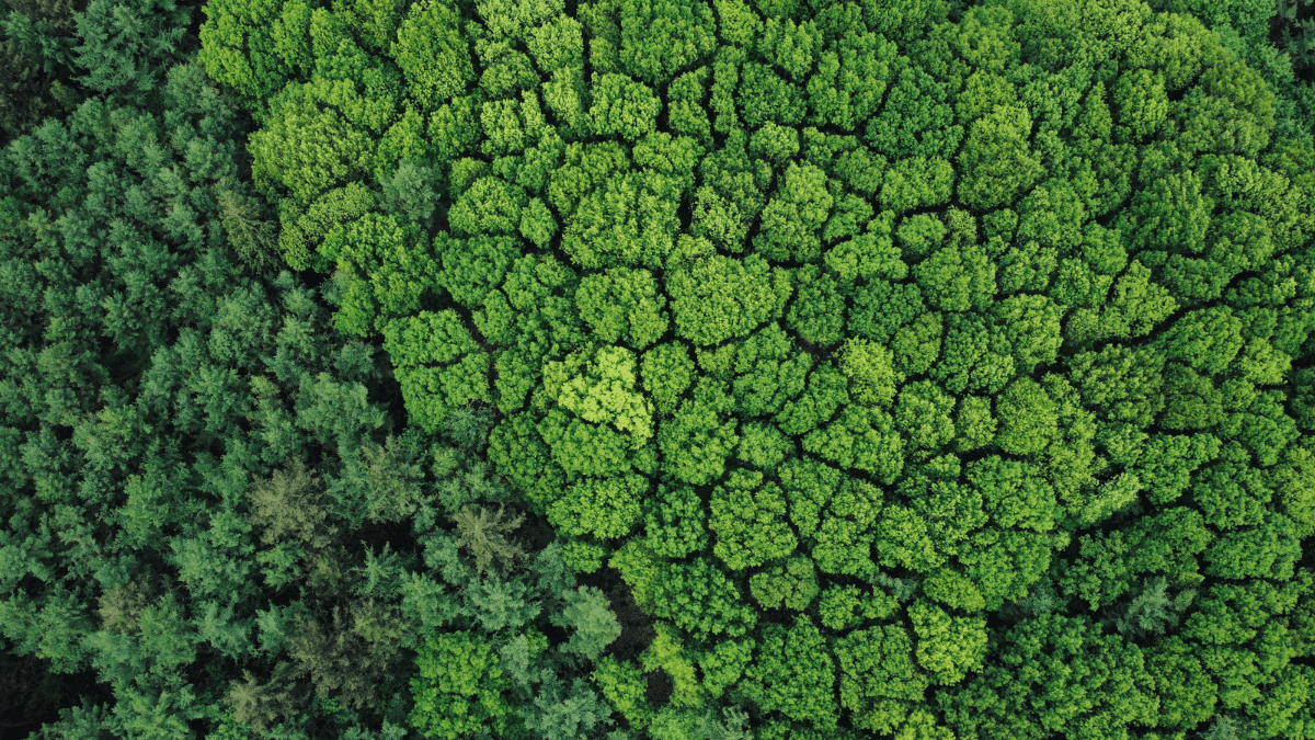 Igua-Saneamento-desenvolve-projetos-de-preservacao-ambiental-em-biomas-brasileiros IDENTIDADES DE SUCESSO