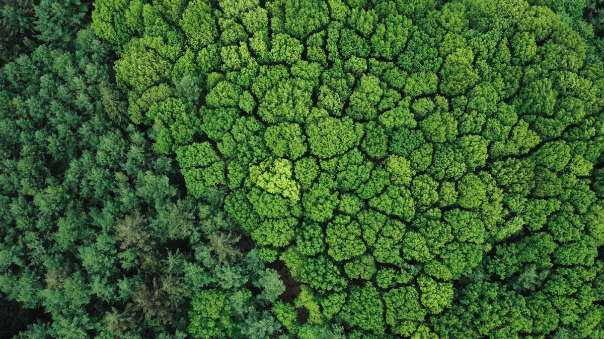 Iguá Saneamento desenvolve projetos de preservação ambiental em biomas brasileiros
