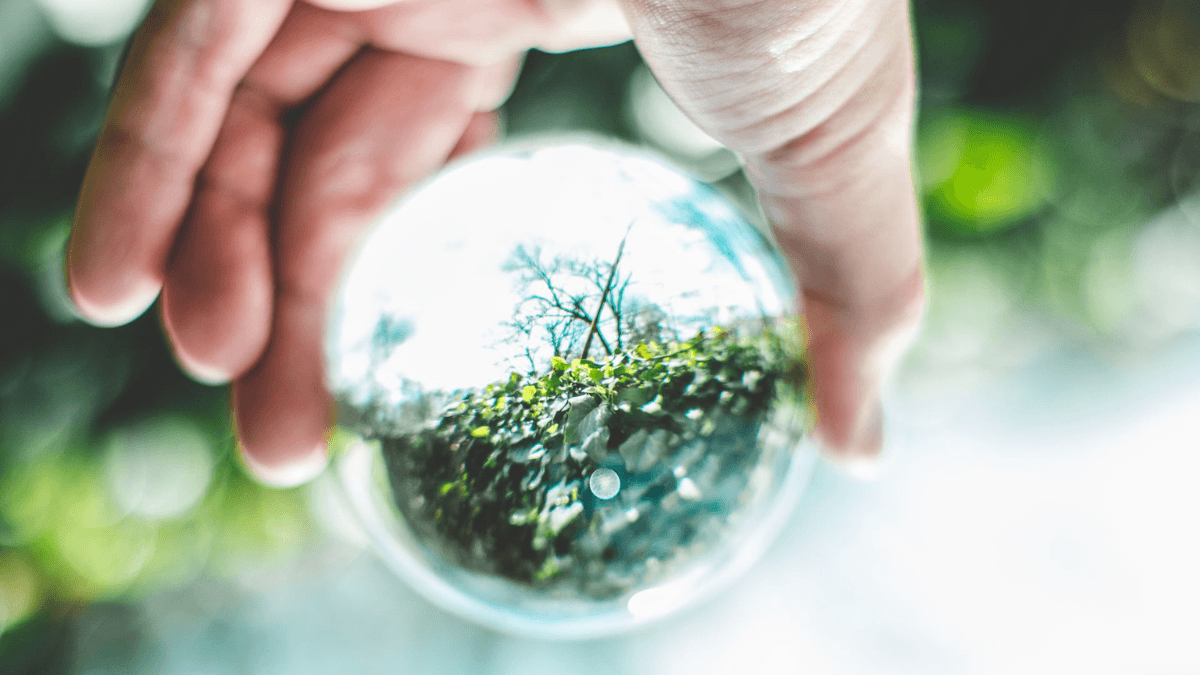 cdp-deep-esg-pmes-transparencia-ambiental IDENTIDADES DE SUCESSO