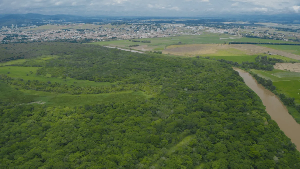 basf-certificacao-ambiental-mata-viva-guaratingueta-mata-atlantica IDENTIDADES DE SUCESSO