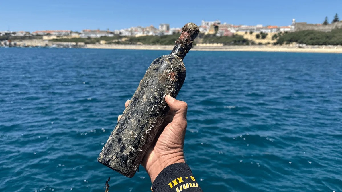 mergulhador-retira-garrafa-vinho-subaquatico-mar-alentejo IDENTIDADES DE SUCESSO