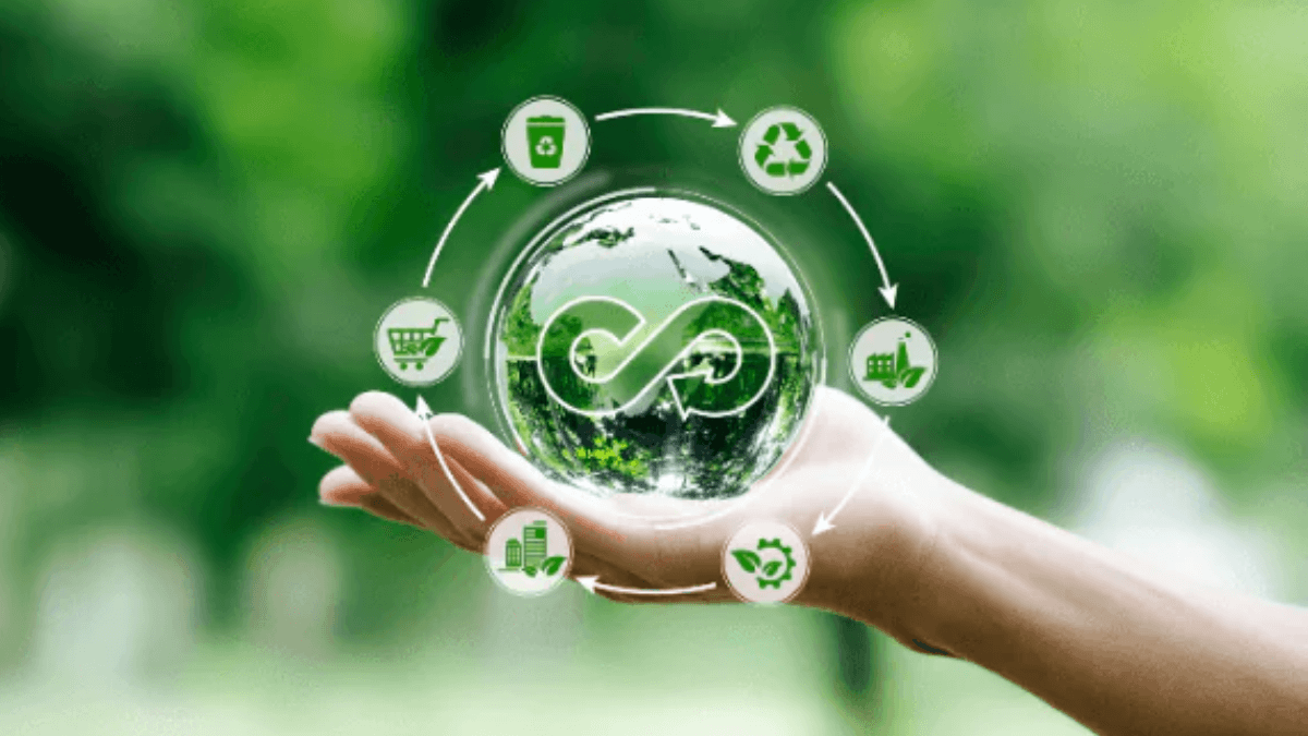 Mão segurando sistema visual de cadeia circular representando integração entre sustentabilidade e finanças
