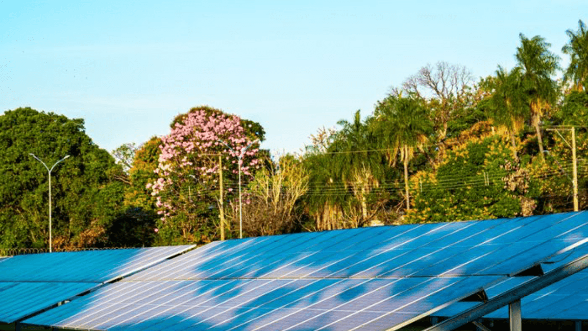 fundo-clima-cni-energia-solar-transicao-energetica IDENTIDADES DE SUCESSO