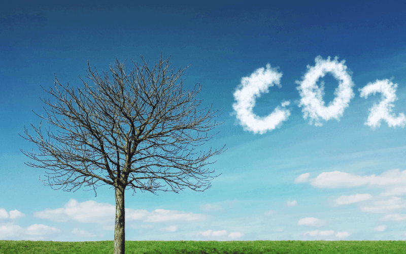 CO2-Carbon-Fee-qw8vf1demossxvtsacvdopwhc4ybj7or80dk5qcps8 Home V3