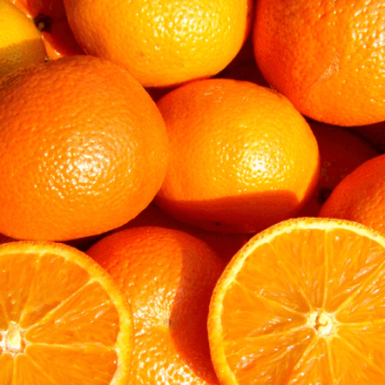 Cadeia-de-suco-laranja-rdb1fs2fkmjjk1qwqvrfergq8q61ji4ibacdznusz0 IDENTIDADES DE SUCESSO