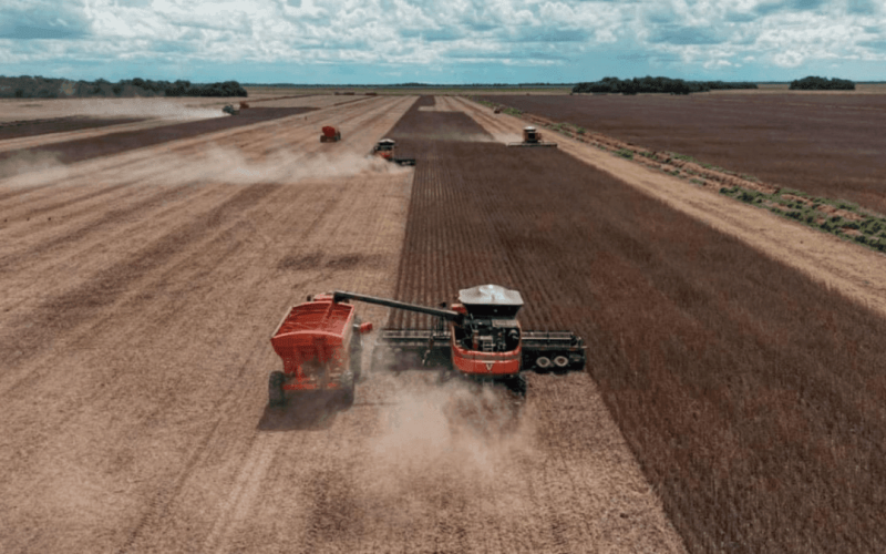 Projeto-de-agricultura-regenerativa-desenvolvido-pela-NaturAll-Carbon-e-Fazenda-Nova-Piratininga-em-area-de-123-mil-hectares-entre-Goias-e-Tocantins-com-geracao-de-creditos-de-carbono-rncov8h6rr9qe8bvz6ohumgg0pt8wa0autjr5s2lxk Home V3