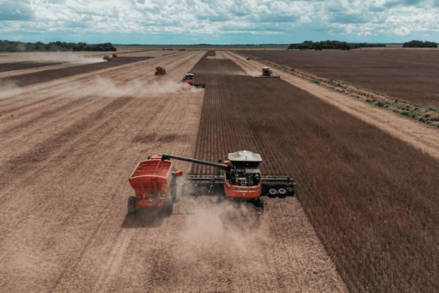 Projeto-de-agricultura-regenerativa-desenvolvido-pela-NaturAll-Carbon-e-Fazenda-Nova-Piratininga-em-area-de-123-mil-hectares-entre-Goias-e-Tocantins-com-geracao-de-creditos-de-carbono-rncov8h7zm2608hme3jnypat220vk180qm4xb6jtyo Home V3