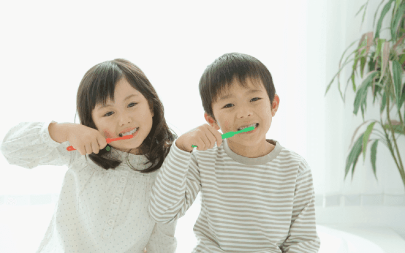 SAUDE-DO-CONSUMIDOR-rbwgytyd51wq20ihck72nbhuwp1lywio64n0l1po5k Home V3