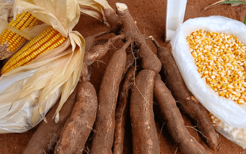 aperam-vale-do-jequitinhonha-agricultura-familiar-r6puc1jspf16ofbuvkxz7kjb2rdl1s92ovfyhdxy14 Home V3