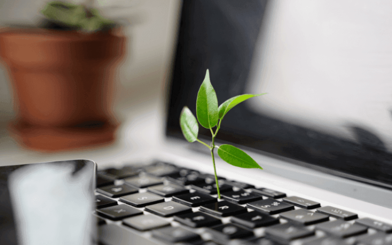 b20-mulheres-sustentabilidade-ia-qwcb1iprgf69nt95llp6v5m3gb3ffqsi3ulk0xkv48 Home V3