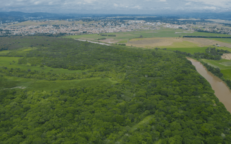 basf-certificacao-ambiental-mata-viva-guaratingueta-mata-atlantica-rqjnyisfrd0ft4xl2wks5njp5hv3i3lugevryvheo8 Home V3