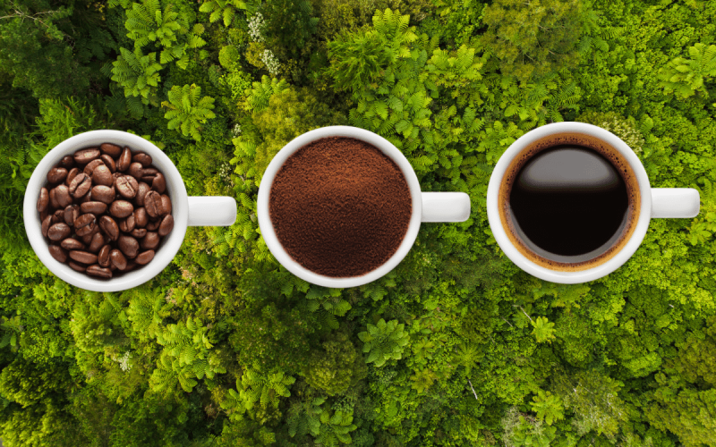 cafe-nestle-qwal8g5j9z7webalgaxcz57s986rdievurq7pmpqbs Home V3