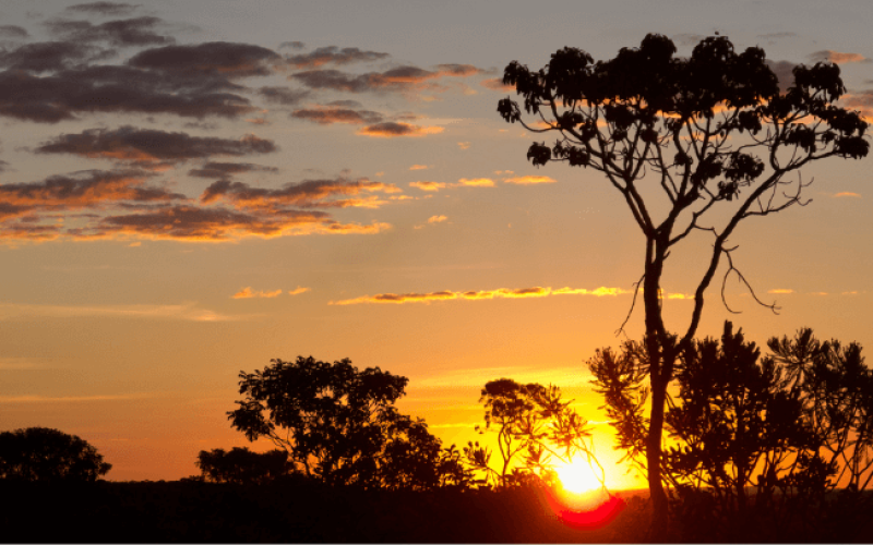 cerrado-r956p2q0dt8iyebnpmdy2oyvf9m180mhu5ypojkoeg Home V3