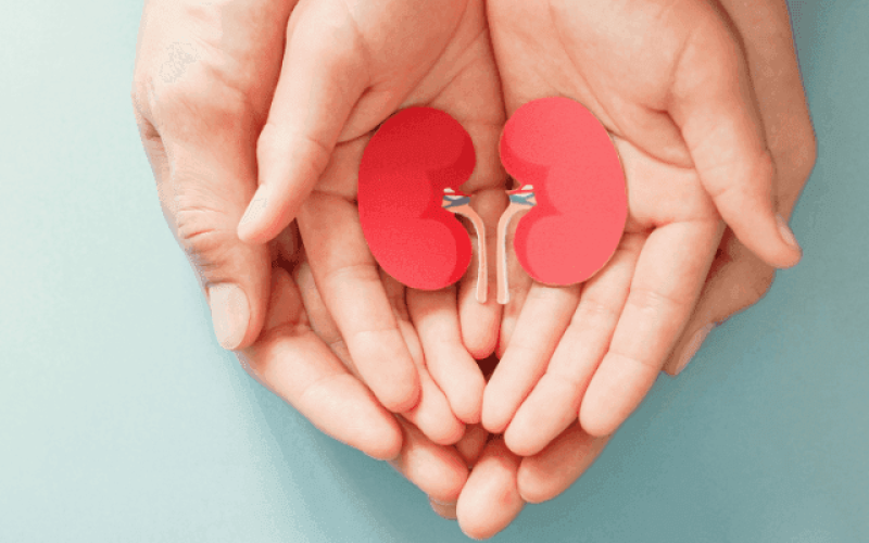 cnj-doacao-de-orgaos-qw8utt6madqoqwnt8ojovkqqdvkwpaezaxzszrtsaw Home V3