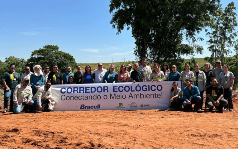 corredor-ecologico-brasell-qylnxc7fj0c5oi1841lxva95c5nay6kcei0yvmwpl4 Home V3