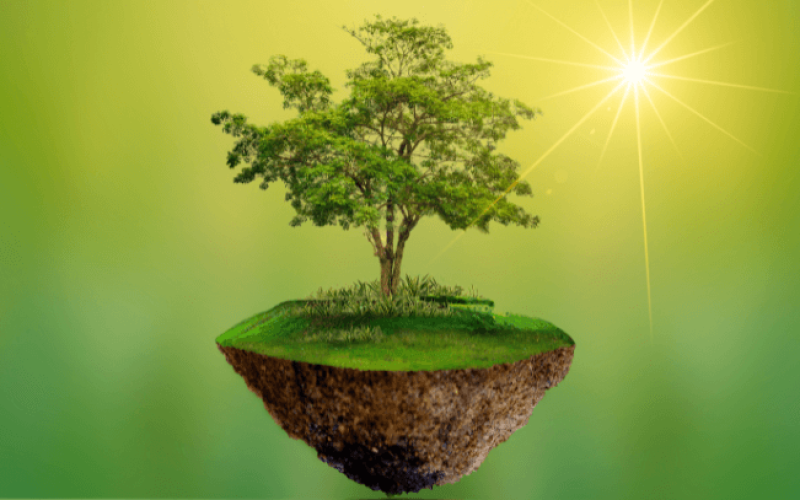 dia-do-meio-ambiente-fundacao-grupo-boticario--r6tfrz9gg44ui8if4d4z05gmjx5668vkdf126alwug Home V3