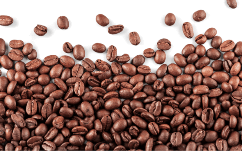 embalagem-reciclavel-cafe-catarina-coffee-r8t7aepb38x9udhfwelk9sx50aakwoyaki00hj1s3s Home V3