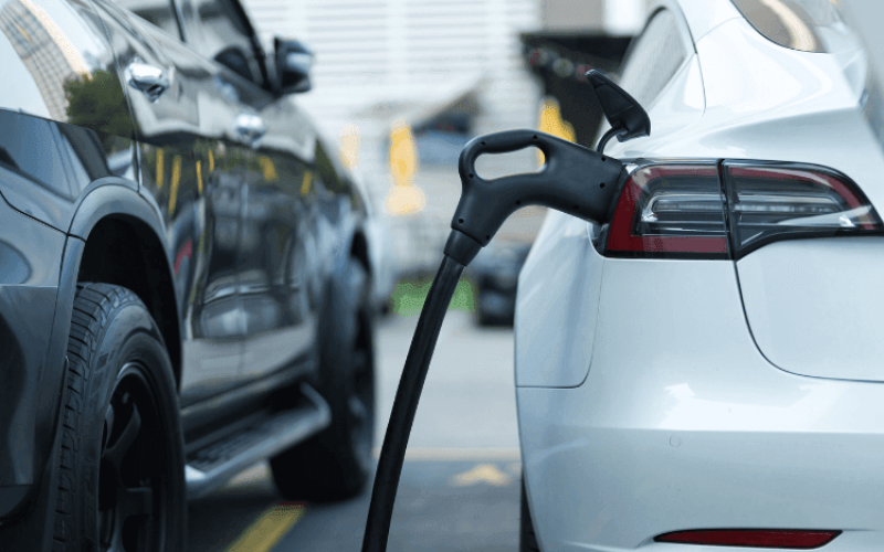 gartner-veiculos-eletricos-2025-identidades-de-sucesso-qwcb14m6lwmytntmvxlsbr66jj0x8a8j1wt9ts5rpk Home V3