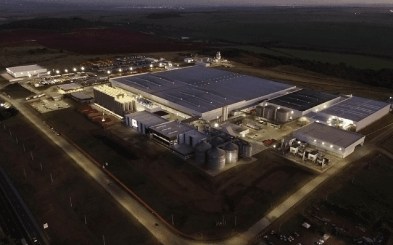 grupo-petropolis-ra4diybmao8u1t8pf0hfm7j33o1mtgsqqawg33a93c Home V3