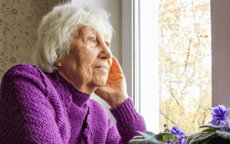 junho-violeta-qpkxfgiz63mlbrl3jes8gsz5pykhf4ycteb2cf2yrs Home V3