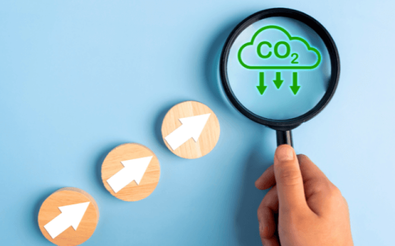 mapfre-pegada-de-carbono-qojxkte9vwadyorc97l0mz16o5gtcm3urjti5i1p54 Home V3