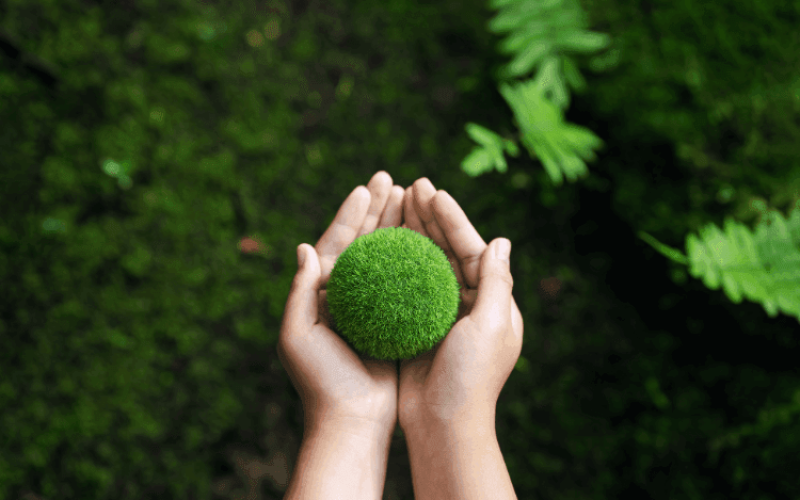 meta-btg-carbono-zero-qwalj3noqdsvz7tj8wp58gfumfoim0pdbhwbiix3t4 Home V3