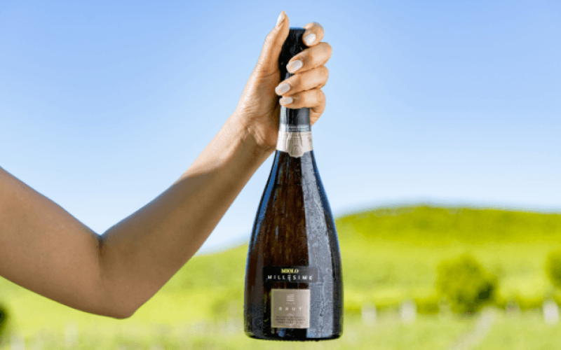 miolo-milesime-brut-rlo0q9sani5a8pabwdsxtda365yrxgh11l12xg0qrs Home V3