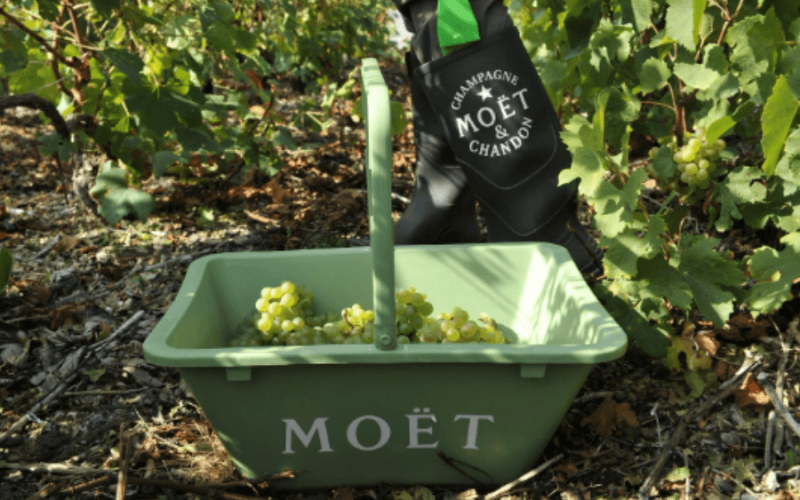 moet-chandon-marca-de-vinho-mais-valiosa-do-mundo-2024-qtydlc0857zy11y58bjeg0qiooztejovyay5ygd9xk Home V3