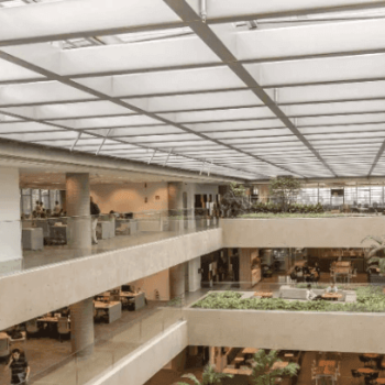 natura-lideranca-regenerativa-r86baekgtems2jetzlazwvihposduhdqgp56rclang IDENTIDADES DE SUCESSO