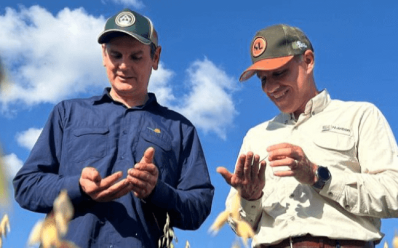 nestle-rbxw91oepf8jtks7r3i8jxlumvadkyv1o1izfeb8ug Home V3