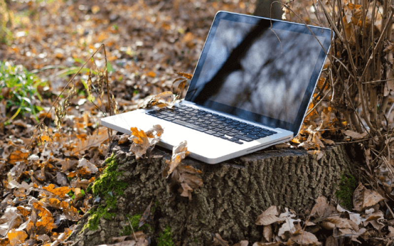 nobis-esg-qkfu86jltigfs1t5oi31yzuabfa0pdqbd0ad7ajp1k Home V3