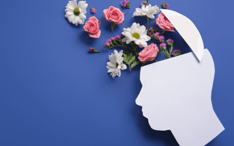 nr1-pgr-saude-mental-no-trabalho-riulx874l5oyu5b17gf1d13de2zu6sa0k7ob7n6a2w Home V3