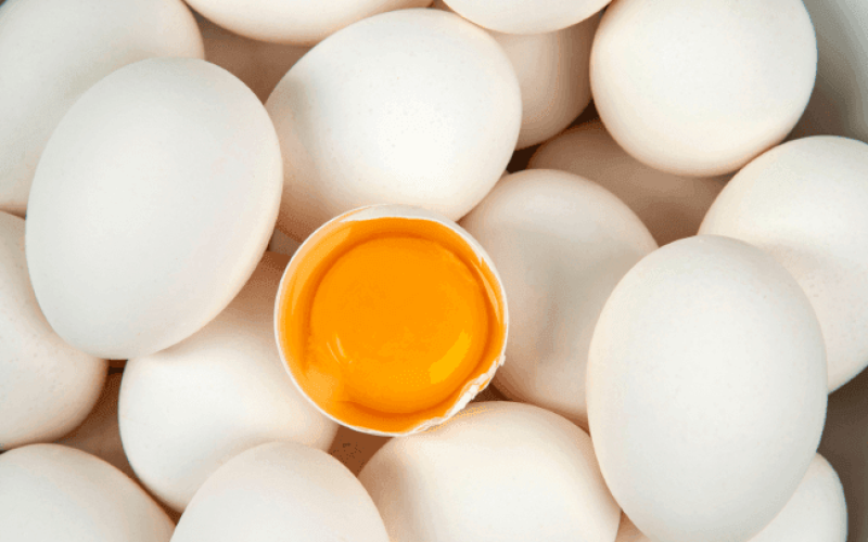 ovos-galinhas-livres-r44cobdwbf0wpoehxw6zatc2b7yps4nlk3t9mslwg8 Home V3