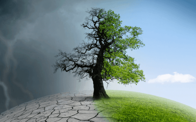 relatorio-climatico-banco-central-qwakgrsm1lbyjnhv2c8tk4n6ksloqcjeps7j0br1jc Home V3