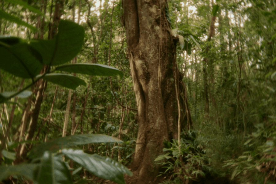 reserva-empresas-privadas-rmqhx891hr1i8owpb29p870kv0aj2t1unwfs3e9ils Home V3