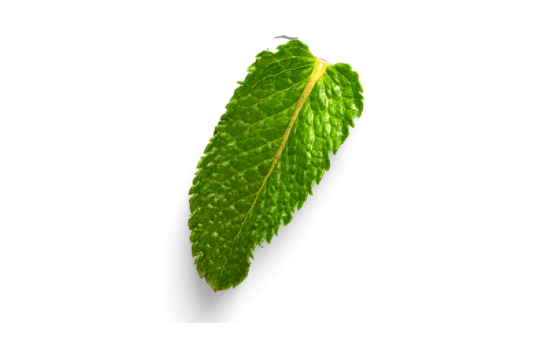 sebrae-minas-esg-para-pequenos-negocios-rca1tynbxrsi2eslsdqzwqn5hn65vwugtqiplpb1xk Home V3