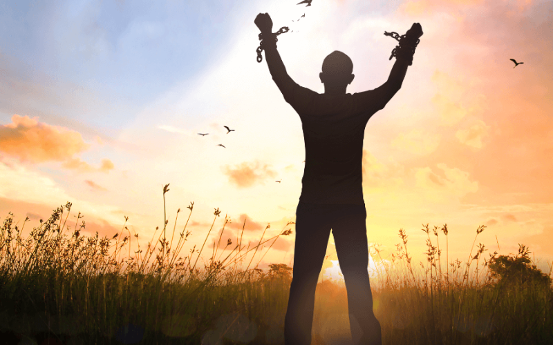 trabalho-escravo-cadeia-de-suprimentos-qtq391qv1ncvyot7y9u4gskzjwhqfii5mtue2r3gy0 Home V3